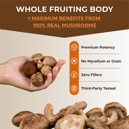 Sacred 7 Mushroom Powder Supplement, 7-in-1 Blend (60 Day Supply) | Immune Defense, Focus & Energy Support | Coffee Enhancer | Lion’s Mane, Reishi, Chaga | Organic 100% Fruiting Body Extract