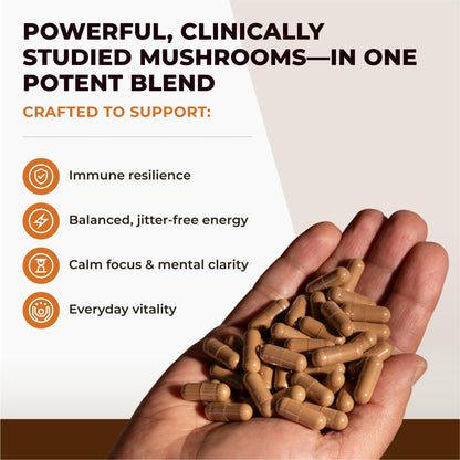 Sacred 7 Mushroom Powder Supplement, 7-in-1 Blend (60 Day Supply) | Immune Defense, Focus & Energy Support | Coffee Enhancer | Lion’s Mane, Reishi, Chaga | Organic 100% Fruiting Body Extract